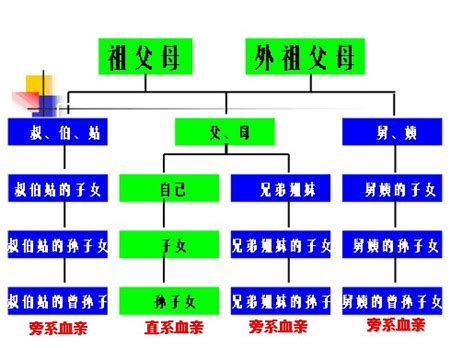 外孫算直系嗎|找不到此頁